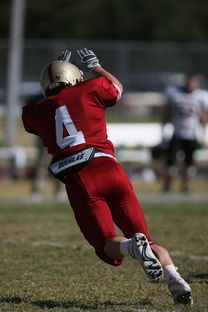 乐鱼体育平台app下载-五大联赛争四阶段关键球员贡献值差异对比,五大联赛引援